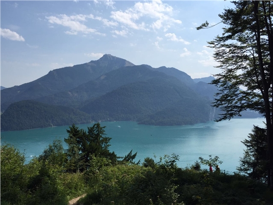余教授奧地利鄉村行：萬(wàn)科為什么說(shuō)把奧地利小鎮搬回來(lái)？