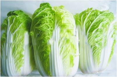 #微肥課堂#白菜類(lèi)蔬菜對哪些營(yíng)養元素敏感？