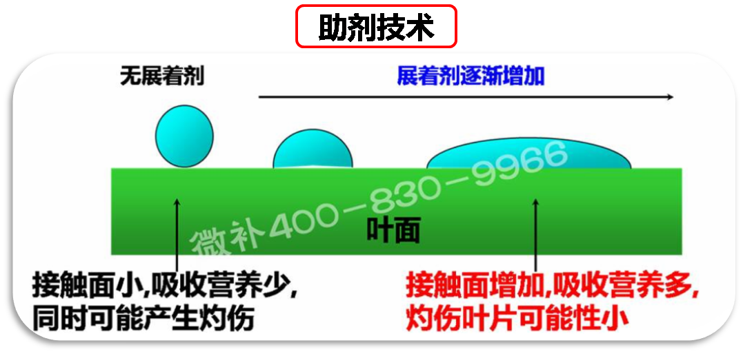 余教授德國鄉村行：我在德國為什么不會(huì )點(diǎn)啤酒了？