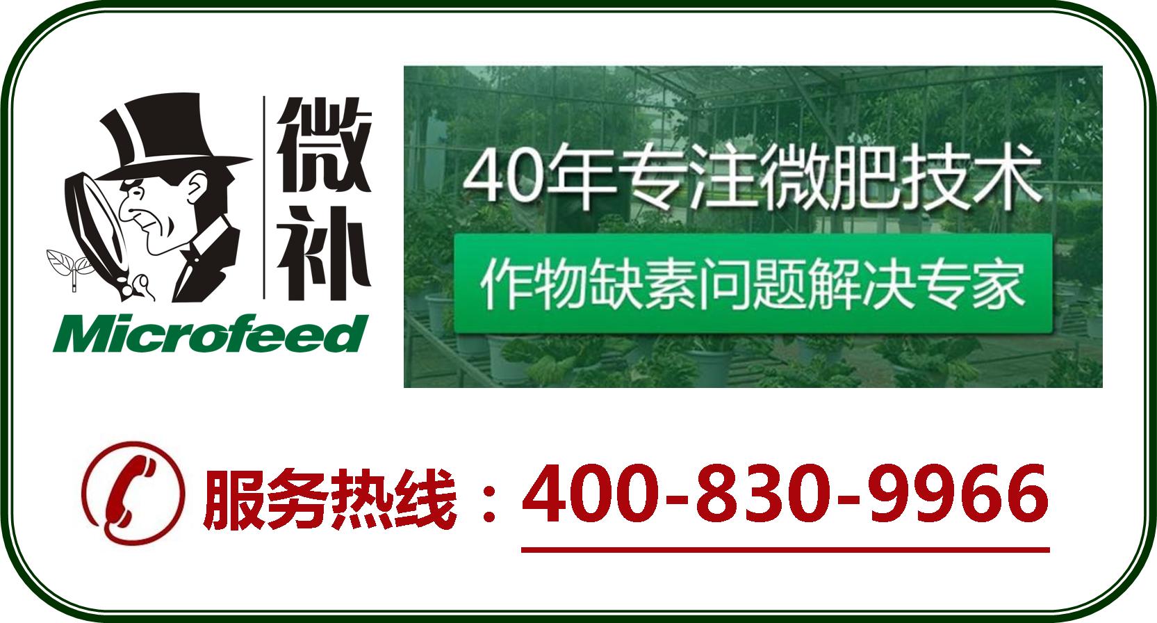 余教授德國鄉村行：摩澤爾河的葡萄魅力在哪兒？