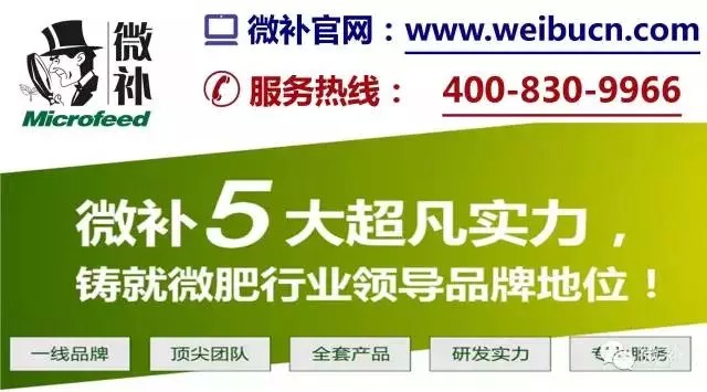余教授奧地利鄉村行：萬(wàn)科為什么說(shuō)把奧地利小鎮搬回來(lái)？
