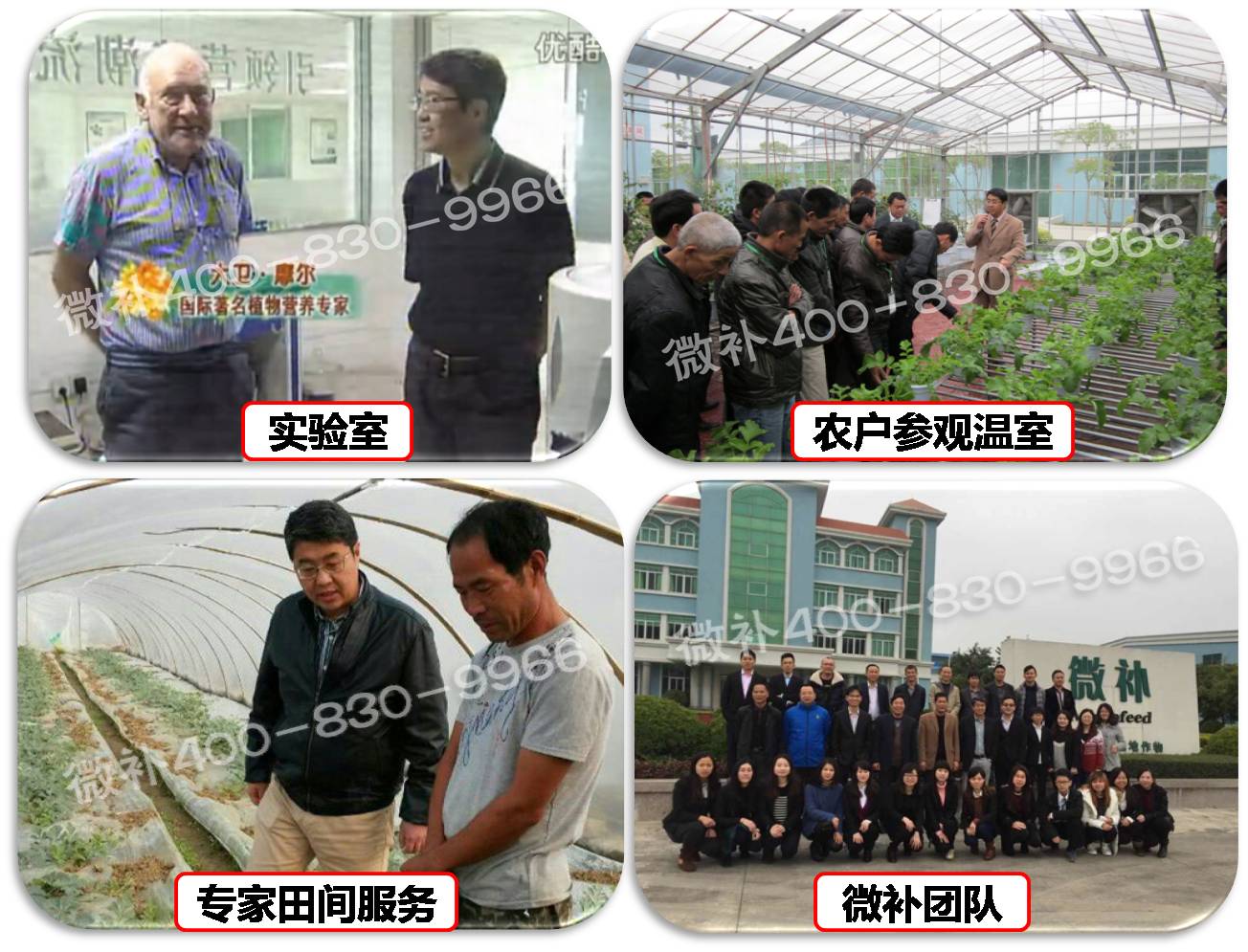余教授奧地利維也納行：不懂音樂(lè )的農民教授，在音樂(lè )之都的感受