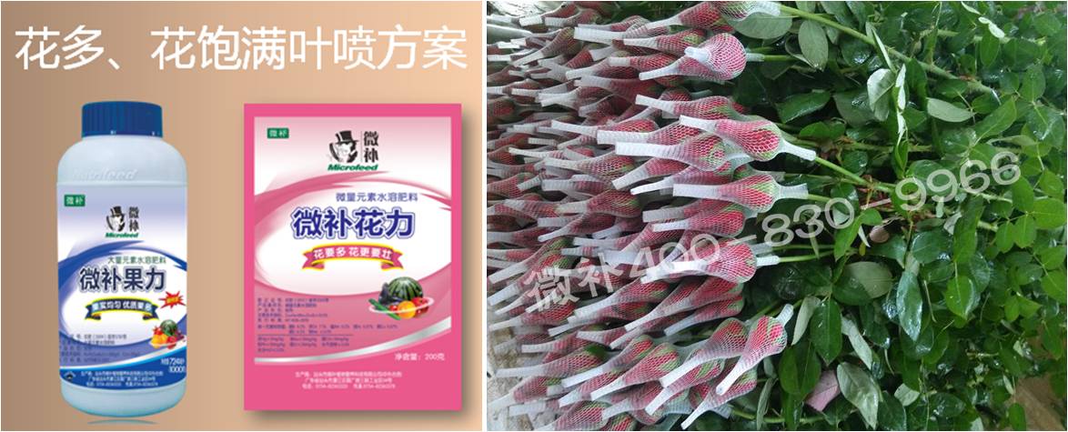 花卉也需要微補嗎？