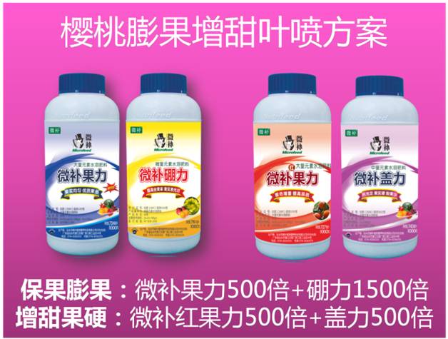 櫻桃用什么葉面肥？