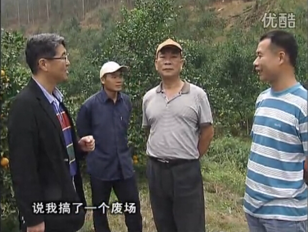 20160118珠江臺搖錢(qián)樹(shù)：貢柑用微補全年營(yíng)養方案，黃樹(shù)翻身還高產(chǎn)增果