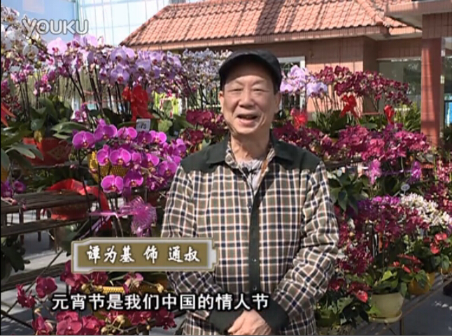 20160222珠江臺搖錢(qián)樹(shù)：用綠夫人營(yíng)養液，簡(jiǎn)單種花都能養得靚