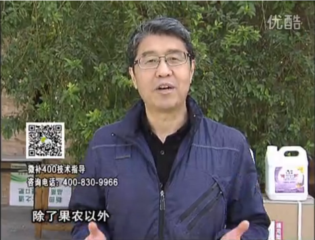 20160321珠江臺搖錢(qián)樹(shù)：柑橘用微補方案，百萬(wàn)收入不是夢(mèng)