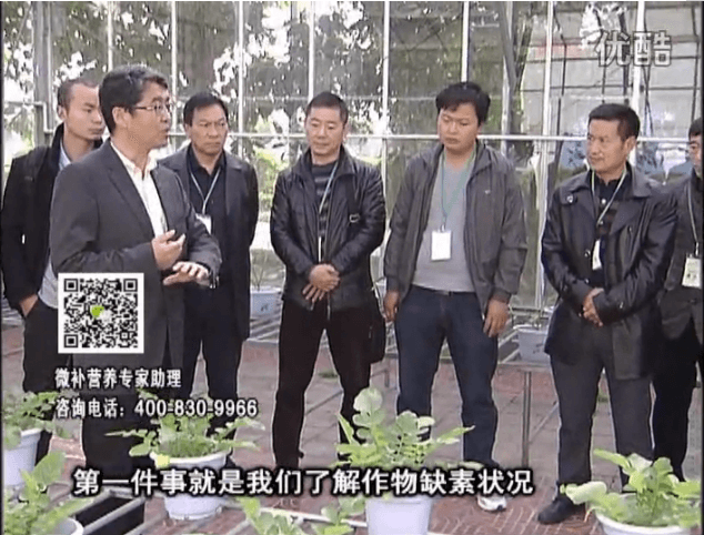 20160418珠江臺搖錢(qián)樹(shù)：和重慶種植業(yè)主走進(jìn)微補，探秘微補生產(chǎn)研發(fā)技術(shù)