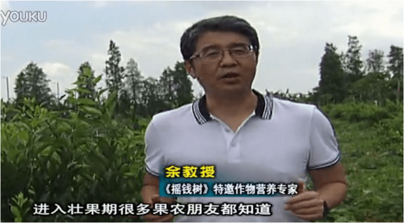20160620珠江臺搖錢(qián)樹(shù)：柑橘淋微補調力、噴蓋力+壯力，調酸壯長(cháng)勢、膨果防裂好