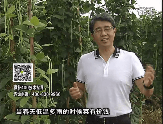 20160704珠江臺搖錢(qián)樹(shù)：蔬菜用微補方案，省肥藥又保產(chǎn)