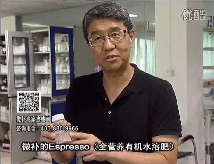 20160822珠江臺搖錢(qián)樹(shù)：柑橘秋梢淋沖因迪樂(lè )精華粉，補充有機營(yíng)養，健壯果樹(shù)