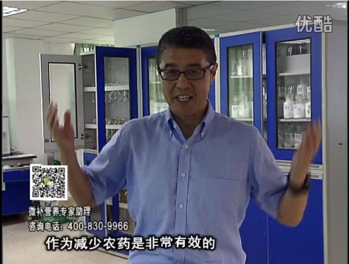 20161024珠江臺搖錢(qián)樹(shù)：種植作物調酸、平衡營(yíng)養、提高抗病力能大大降低病害發(fā)生和農藥使用量