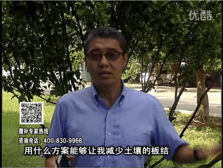 20161031珠江臺搖錢(qián)樹(shù)：減少化肥使用量、土壤少板結有辦法