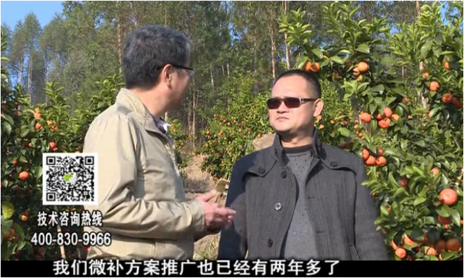 20180122珠江臺搖錢(qián)樹(shù)：廣西柑橘如何管？產(chǎn)量賣(mài)相好?