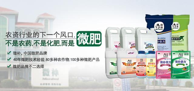 農業(yè)下一個(gè)風(fēng)口