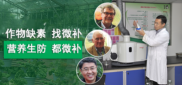 40年專(zhuān)注微肥技術(shù)