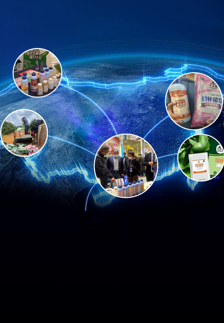 農(nóng)戶(hù)推薦