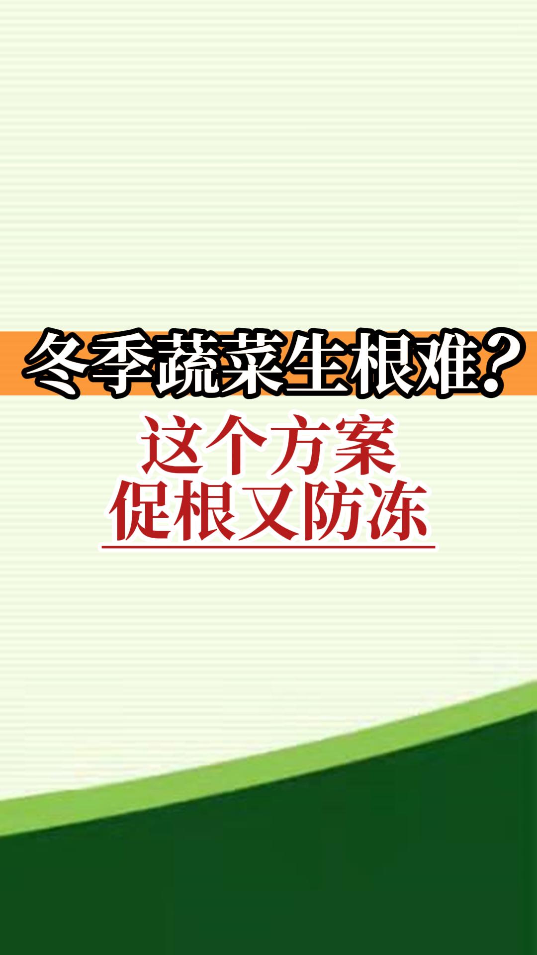 冬季蔬菜生根難？這個(gè)方案促根又防凍