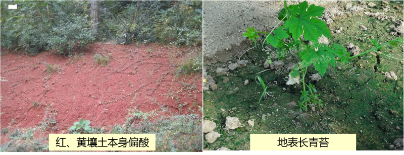 課堂 (3) 課堂 (3)