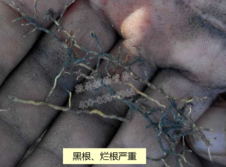 課堂 (2) 課堂 (2)