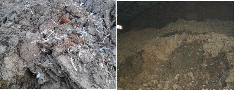 課堂 (4) 課堂 (4)