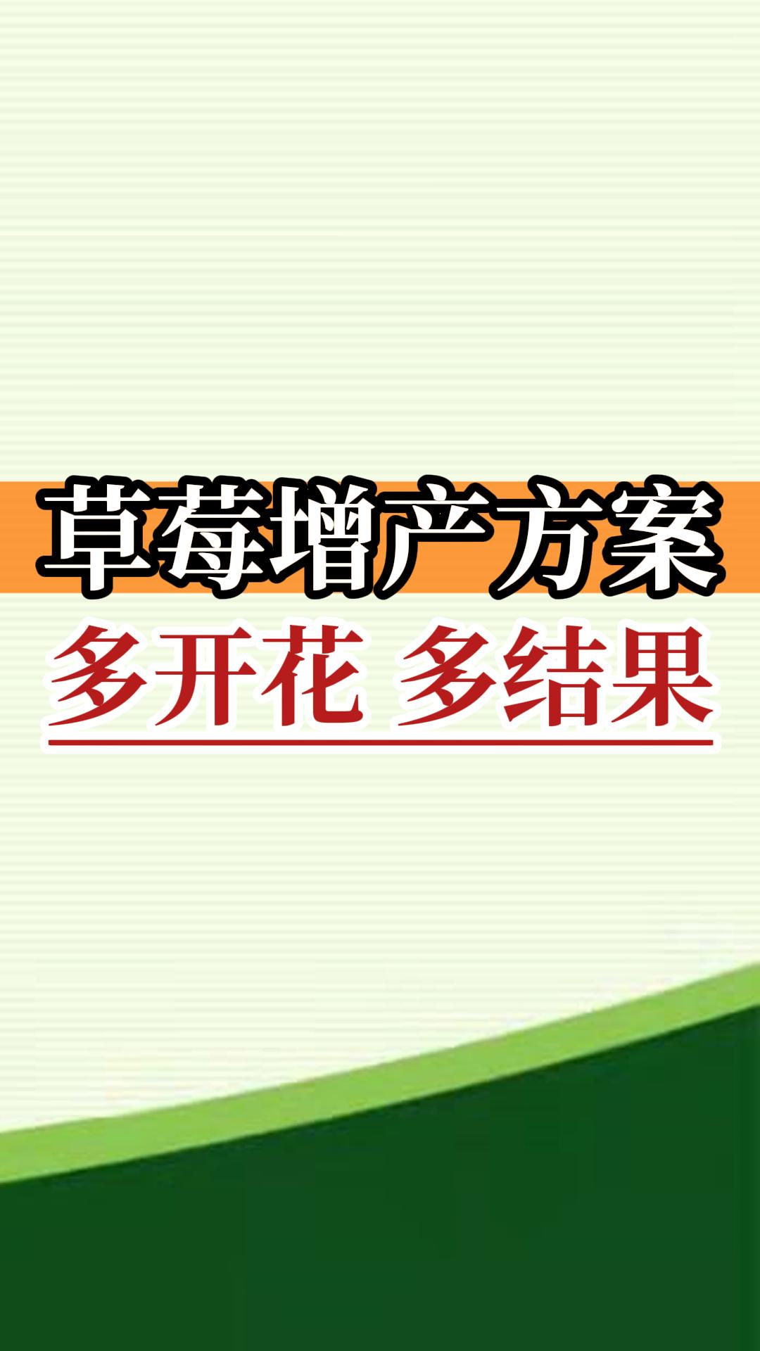 草莓增產(chǎn)方案 多開(kāi)花 多結果