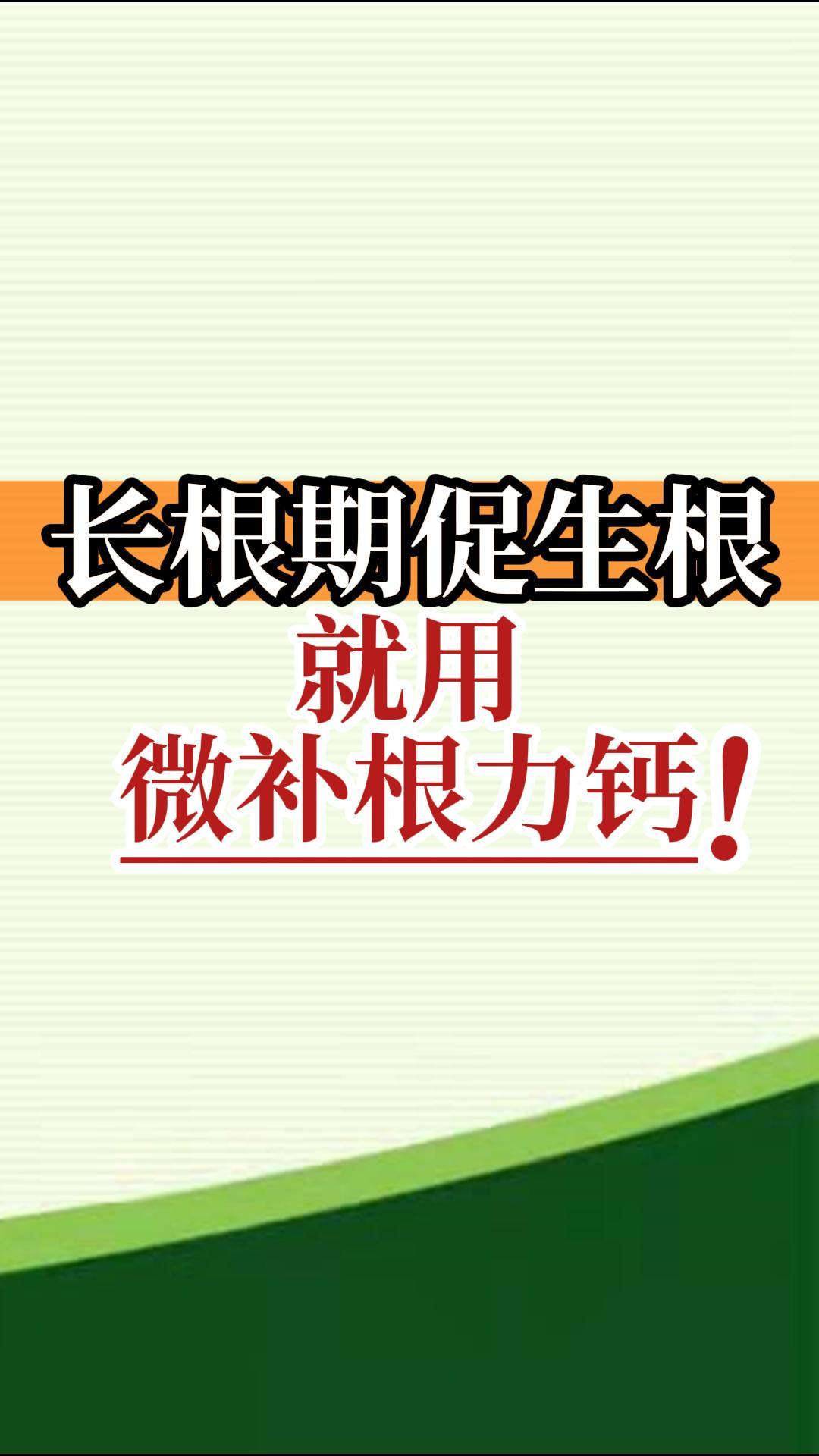 長(cháng)根期促生根就用微補根力鈣！