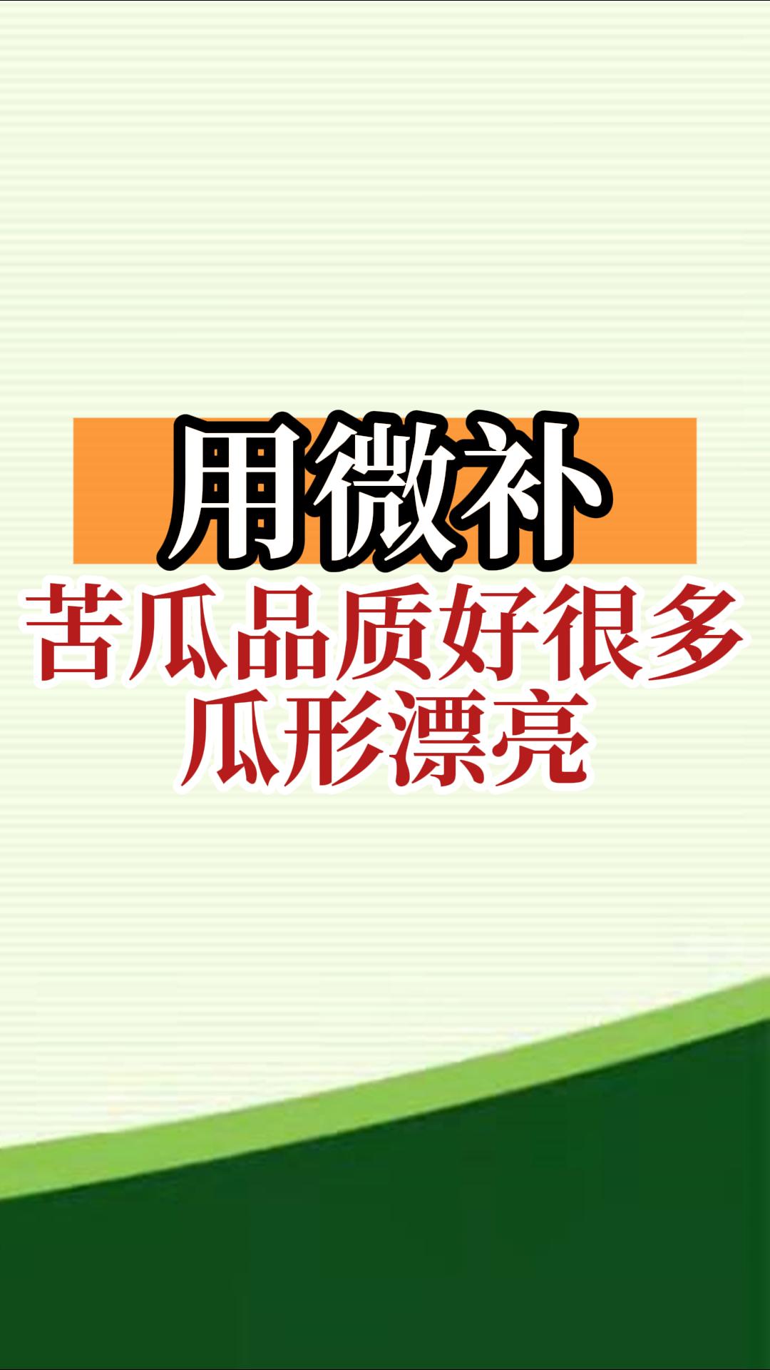用微補，苦瓜品質(zhì)好很多，瓜形漂亮