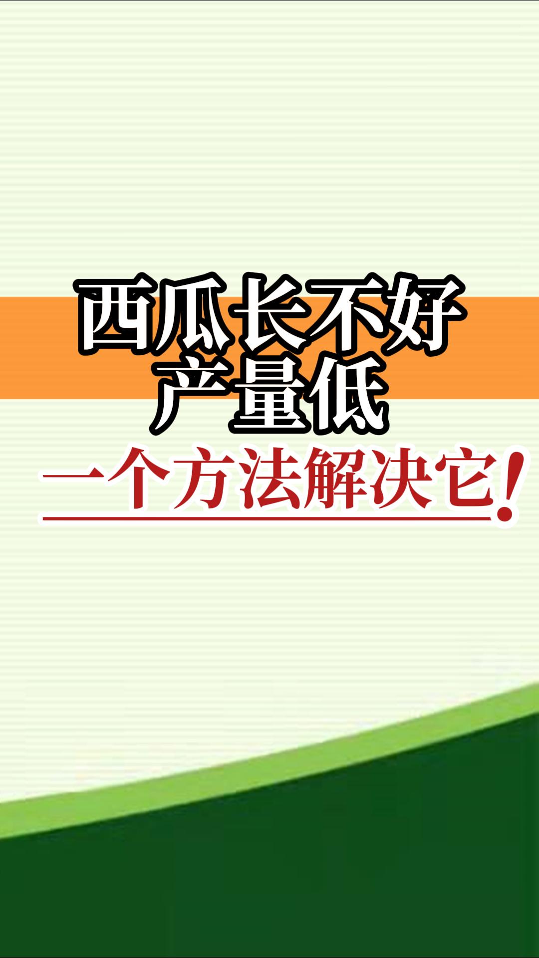 西瓜長(cháng)不好產(chǎn)量低？
