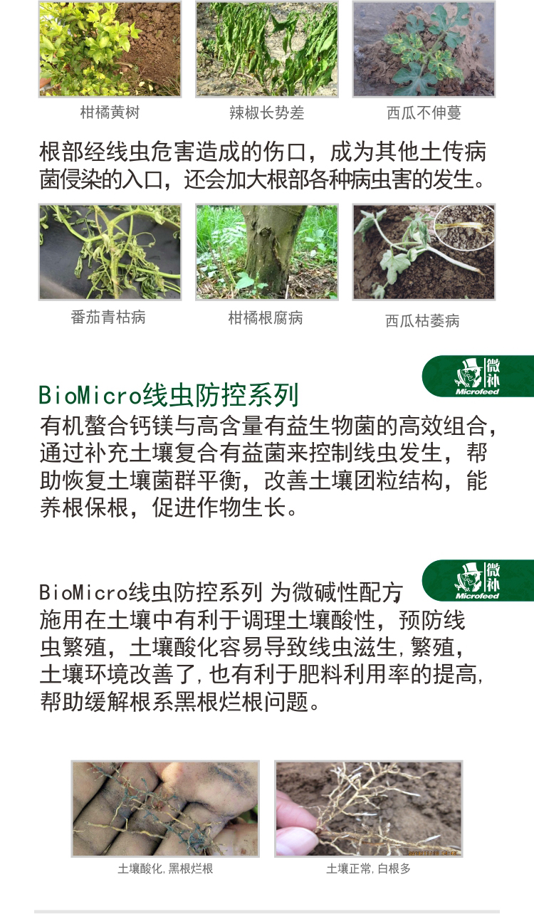 BioMicro線(xiàn)蟲(chóng)
