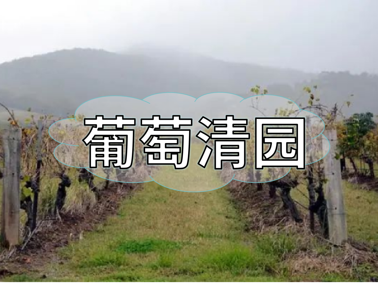 葡萄清園怎么進(jìn)行？