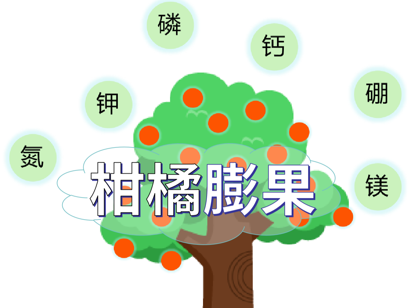 柑橘膨果慢？找準原因，“對癥下藥”