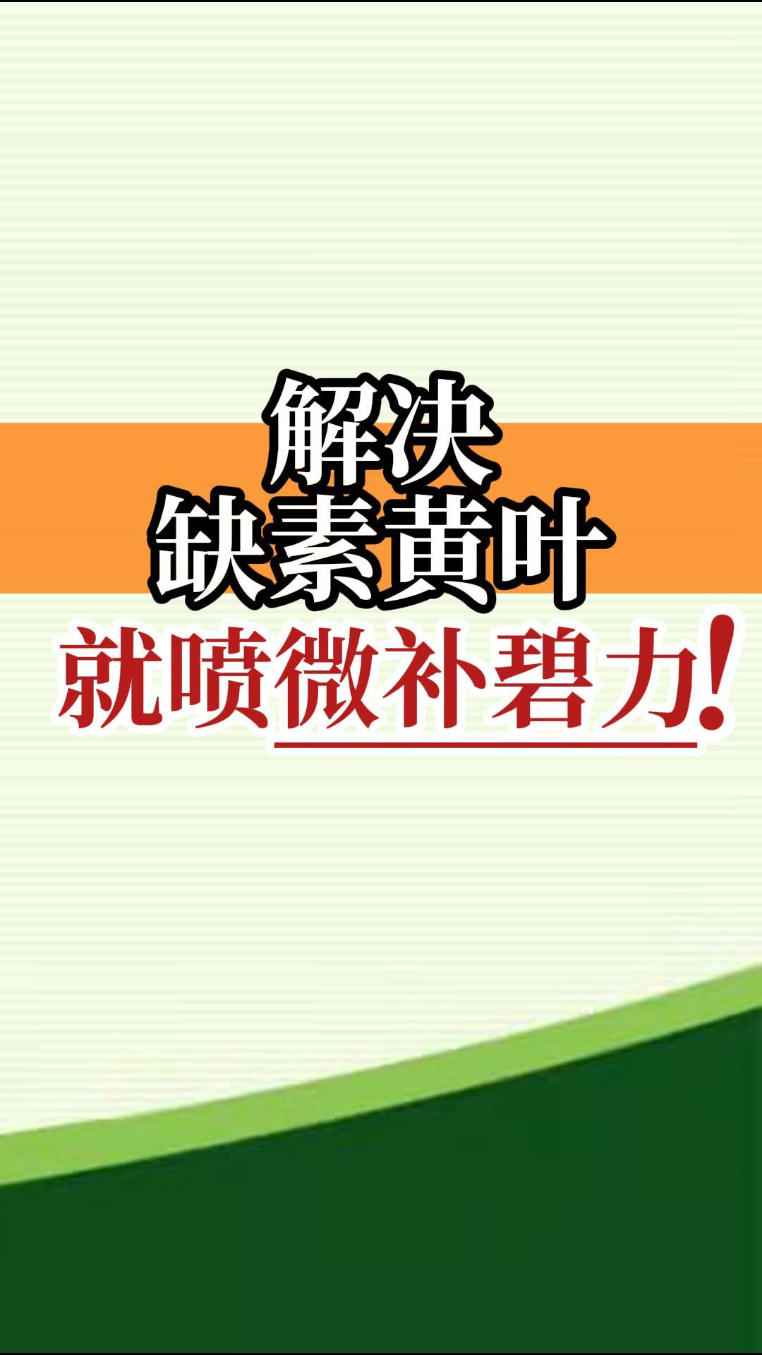 解決缺素黃葉就噴微補碧力！